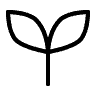 Seed
